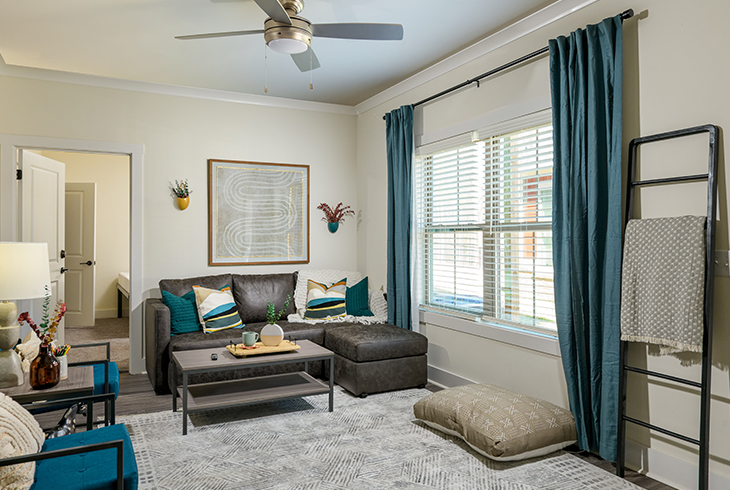Furnished apartment living room